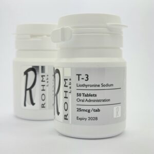T3